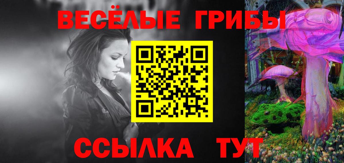 Ленинск-Кузнецкий  Галлюциногенные грибы прущие грибы  Вход с VPN 