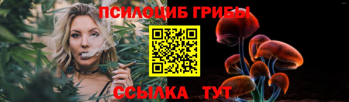 Псилоцибиновые грибы Cubensis Ленинск-Кузнецкий